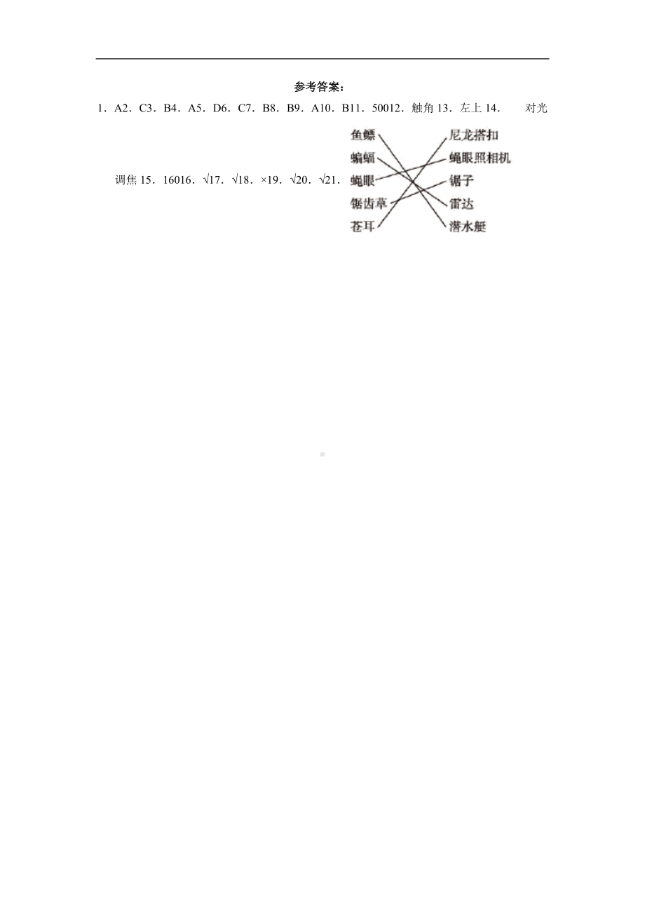 1.3观察身边微小的物体（同步练习）-2022新教科版六年级上册《科学》.docx_第3页