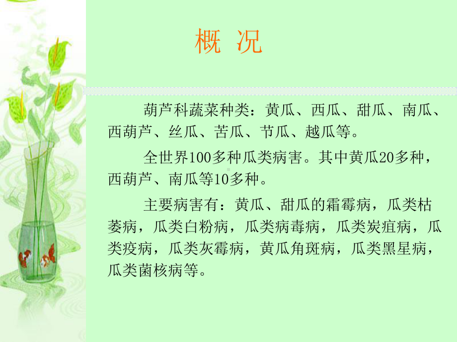 三章节葫芦科蔬菜病害课件.ppt_第2页