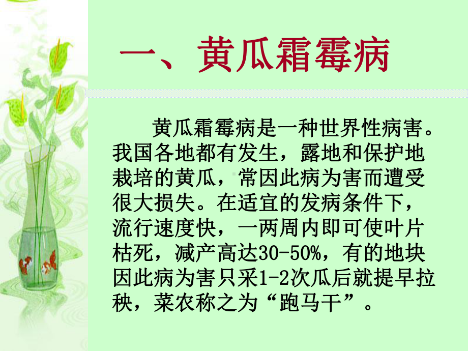 三章节葫芦科蔬菜病害课件.ppt_第3页