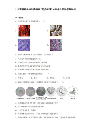 1.5观察更多的生物细胞（同步练习）(2)-2022新教科版六年级上册《科学》.docx