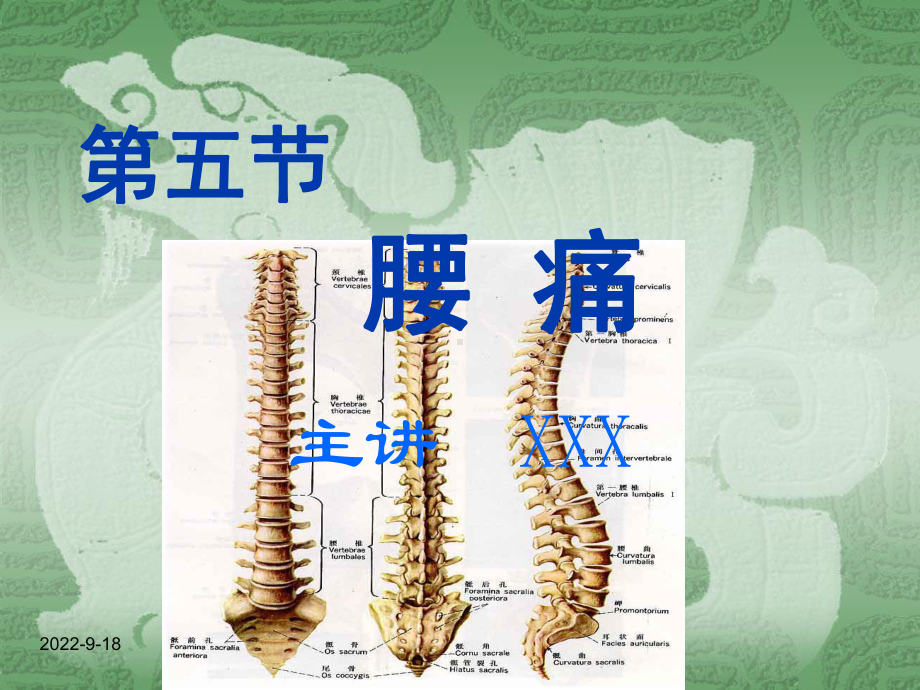 中医内科学第五节腰痛课件.ppt_第1页