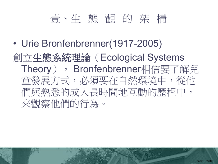 中介系统MesosystemiLMS行动学习课件.pptx_第3页