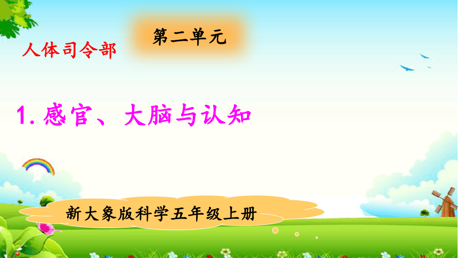 2.1感官、大脑与认知资源包（ppt课件+视频）-2022新大象版五年级上册《科学》.rar