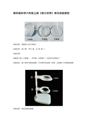 2022新教科版六年级上册《科学》第一单元《微小世界》（实验报告）.doc