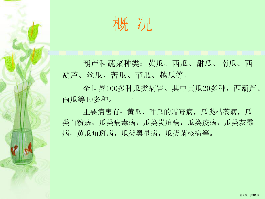 三章节葫芦科蔬菜病害课件.pptx_第2页