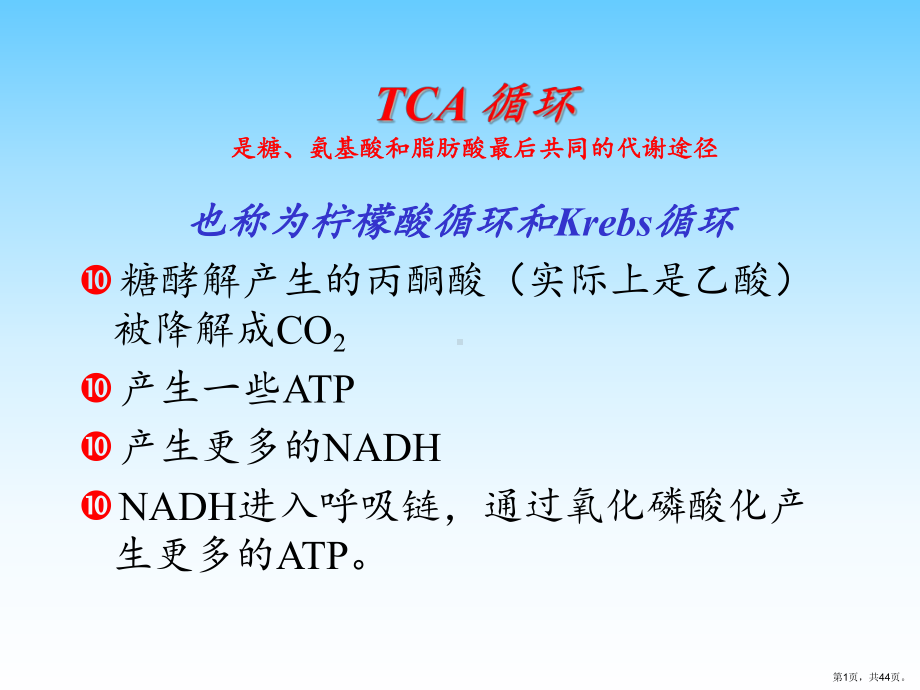 三羧酸循环教学课件.ppt_第1页