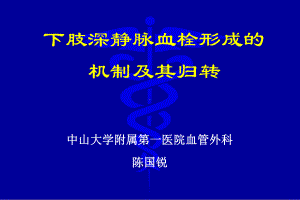 下肢深静脉血栓形成的机制及其归转改课件.ppt