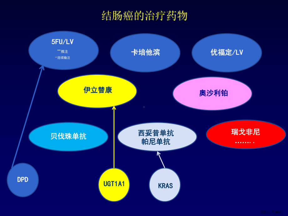 个体化治疗与UGT1A1解读课件.pptx_第3页