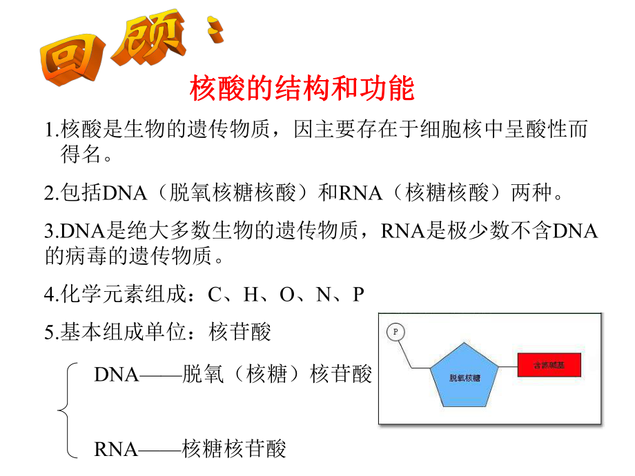 一轮复习DNA分子的结构与复课件.ppt_第2页