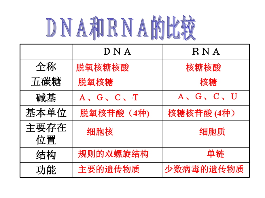 一轮复习DNA分子的结构与复课件.ppt_第3页