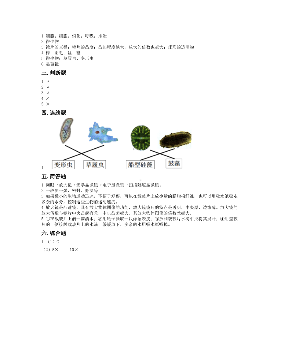 2022新教科版六年级上册《科学》第一单元《微小世界》测试卷（单元测试）.docx_第3页