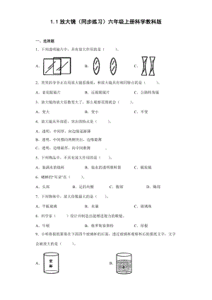 1.1放大镜（同步练习）(3)-2022新教科版六年级上册《科学》.docx