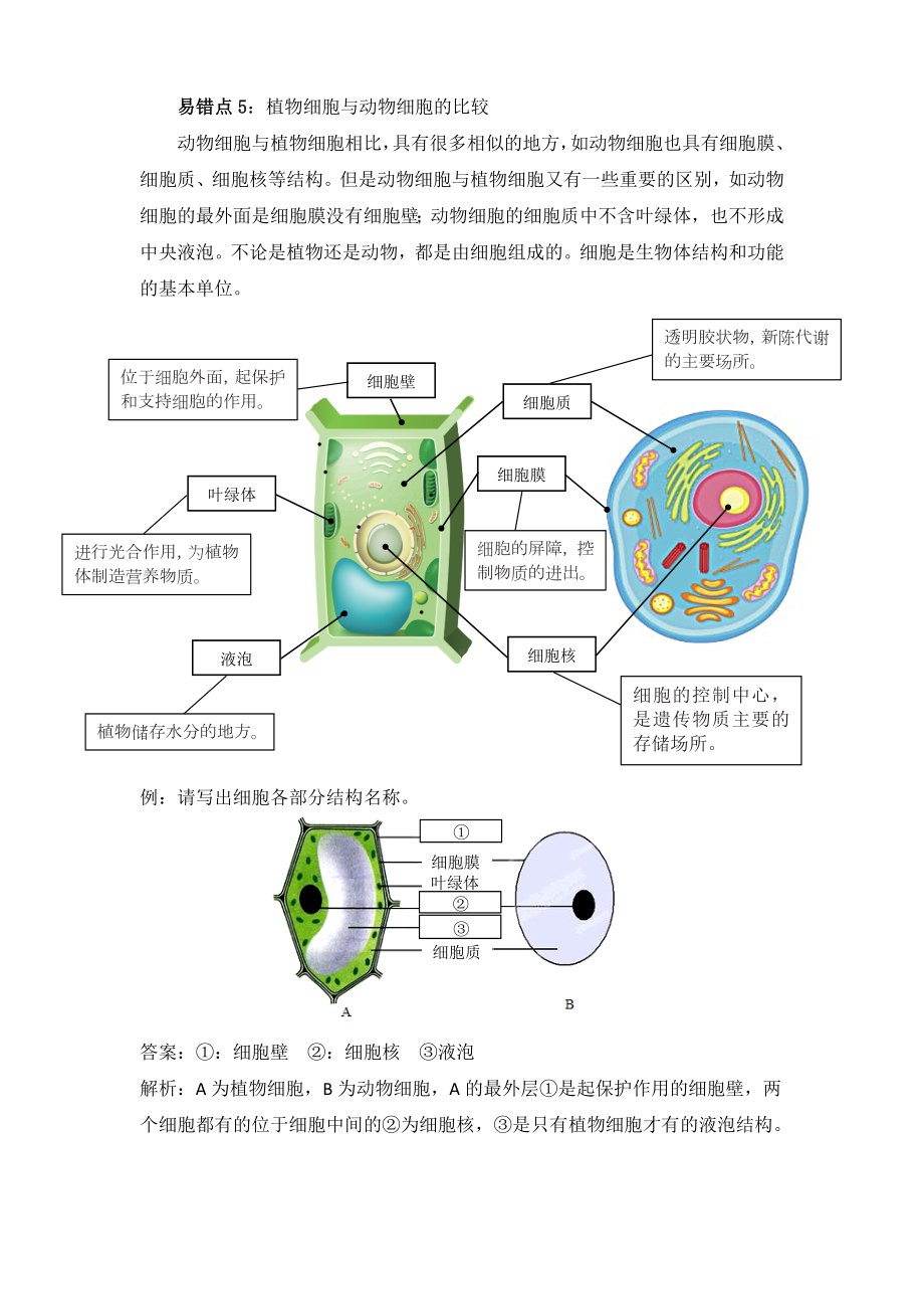 2022新教科版六年级上册《科学》第一单元易错点解析 （讲义）.docx_第3页