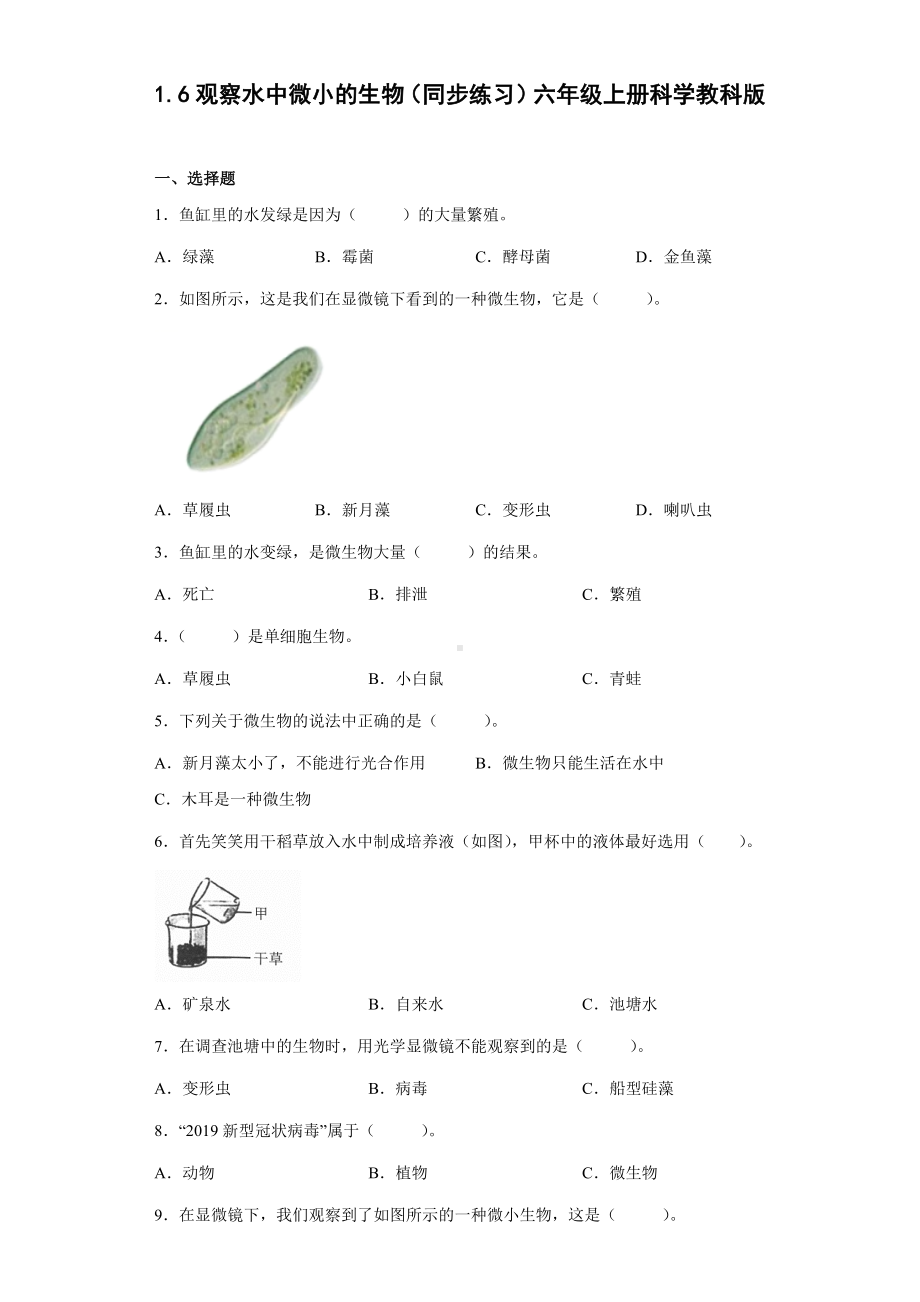 1.6观察水中微小的生物（同步练习）(2)-2022新教科版六年级上册《科学》.docx_第1页