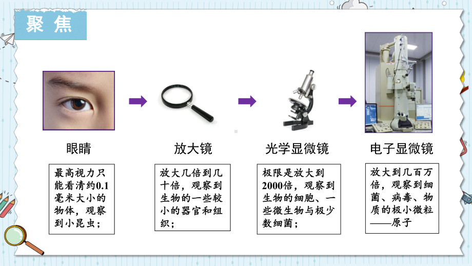 1.7 微生物与健康 (ppt课件)-2022新教科版六年级上册《科学》.pptx_第2页