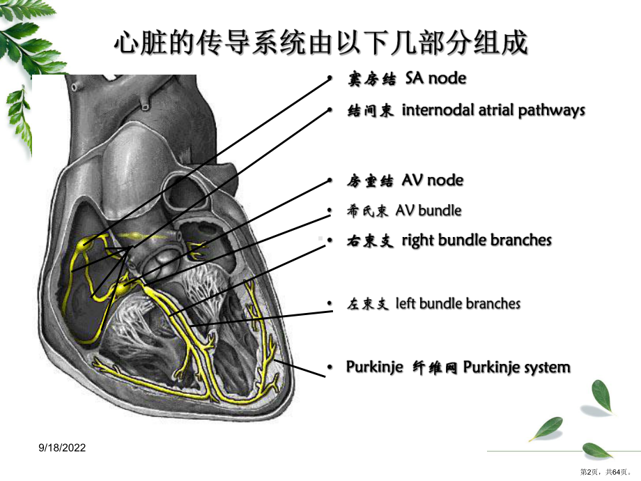 专科护士讲课心电图基础教学课件.ppt_第2页