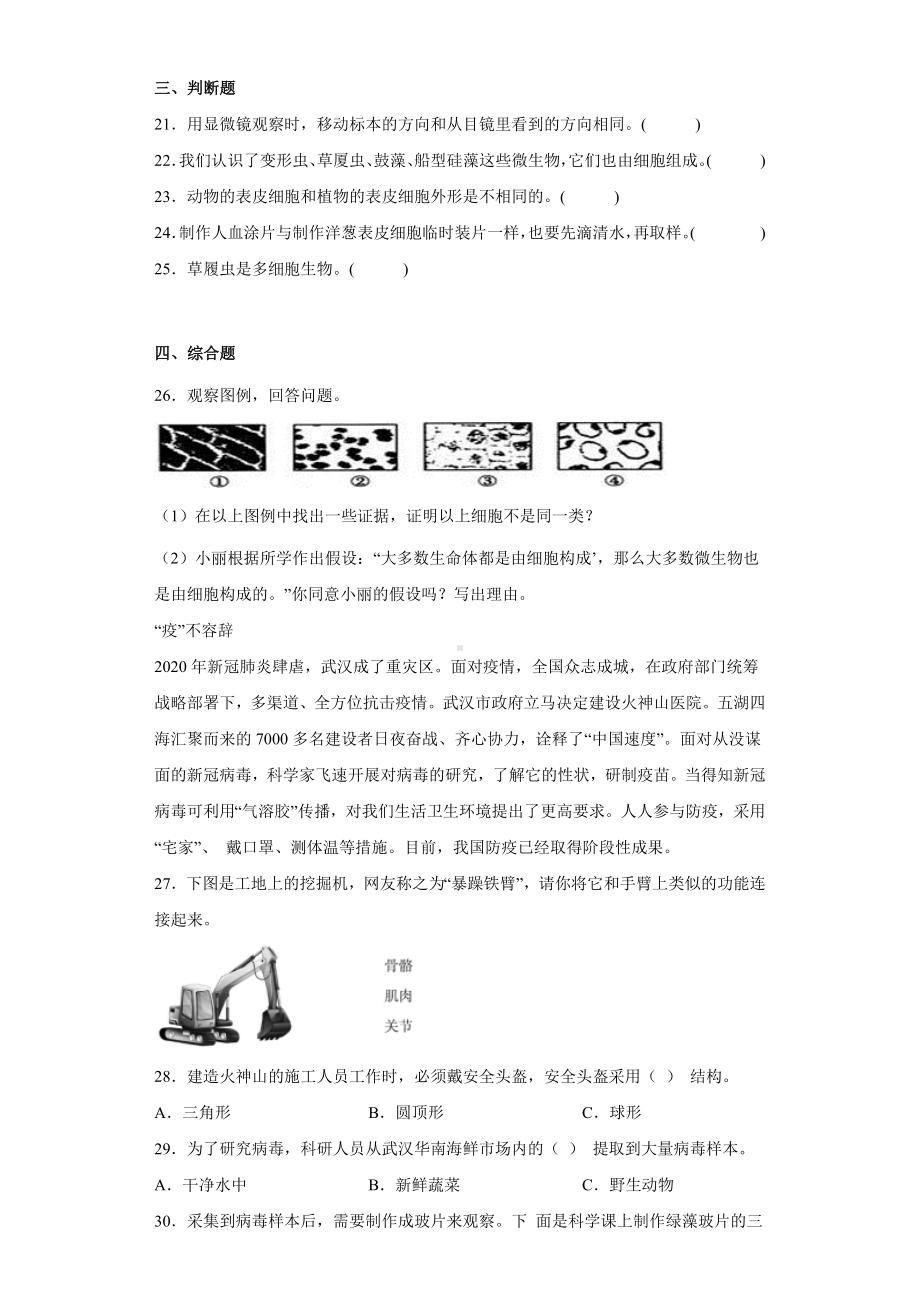 1.5观察更多的生物细胞（同步练习）(3)-2022新教科版六年级上册《科学》.docx_第3页