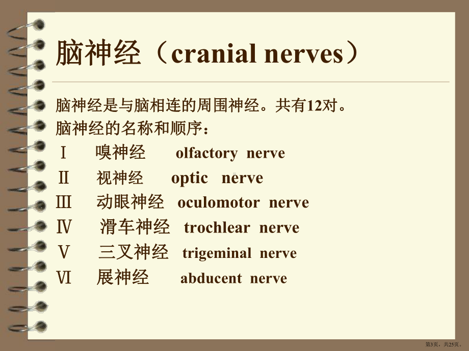 中医学脑神经课件.pptx_第3页