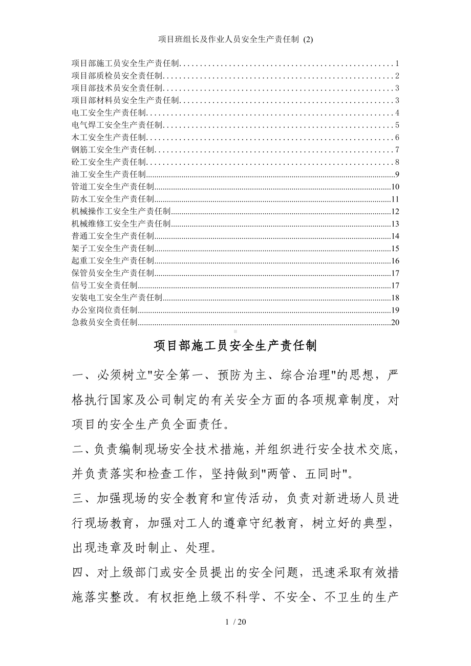 项目班组长及作业人员安全生产责任制 (2)参考模板范本.doc_第1页