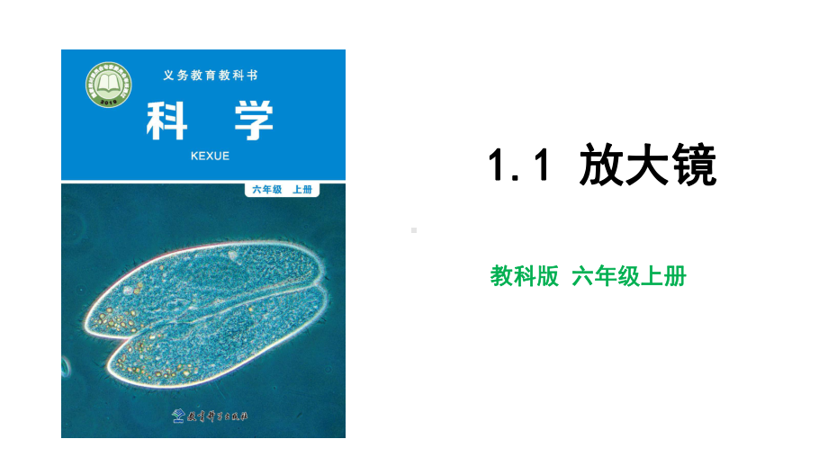 教科版科学六年级上册1-1 放大镜.pptx_第1页