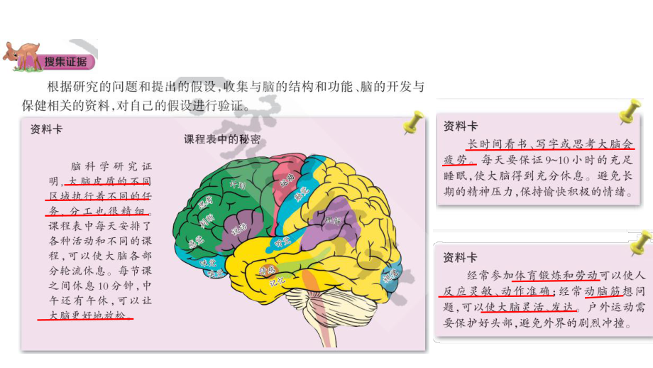 2.4 脑的保健 (含练习)ppt课件(共10张PPT)-2022新大象版五年级上册《科学》.pptx_第3页