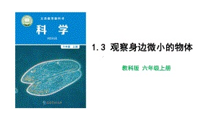 教科版科学六年级上册1-3 观察身边微小的物体.pptx