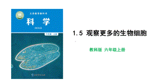 教科版科学六年级上册1-5 观察更多的生物细胞.pptx