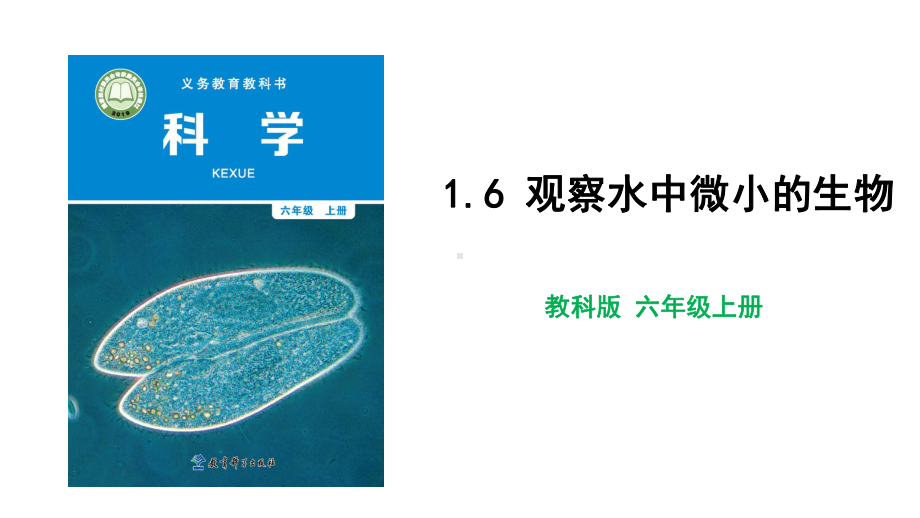 教科版科学六年级上册1-6 观察水中微小的生物.pptx_第1页