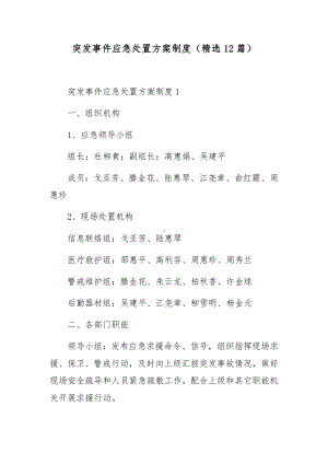 突发事件应急处置方案制度（精选12篇）.docx