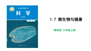 教科版科学六年级上册1-7 微生物与健康.pptx