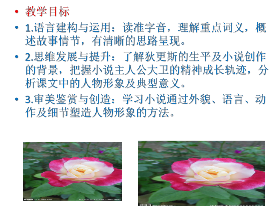 8.《大卫·科波菲尔（节选）》ppt课件33张-统编版高中语文选择性必修上册.pptx_第2页