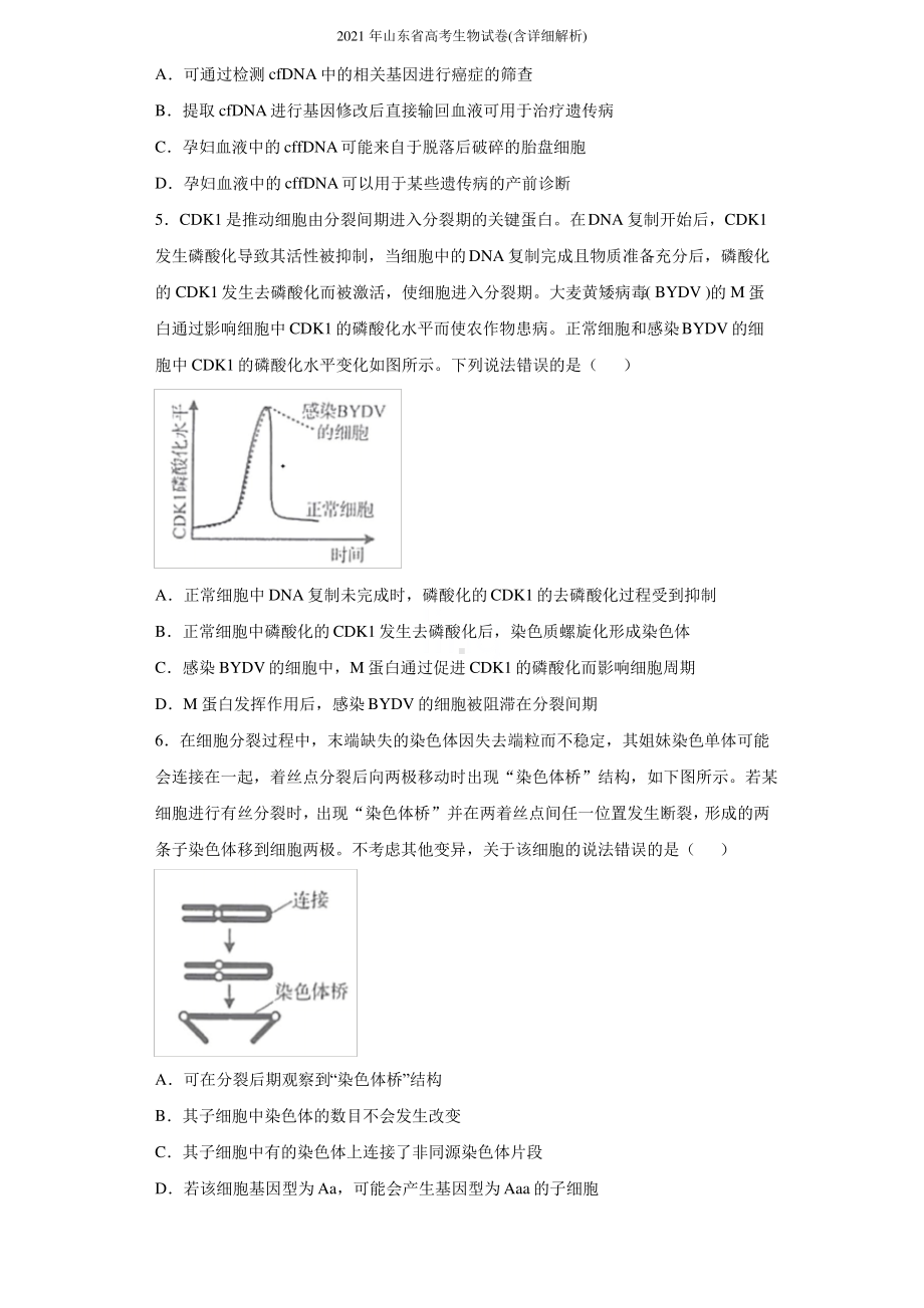 2021年山东省高考生物试卷(含详细解析).pdf_第2页