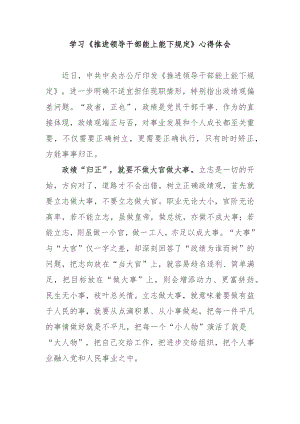 学习《推进领导干部能上能下规定》心得体会3篇.docx