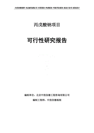 丙戊酸钠项目可行性研究报告建议书.doc