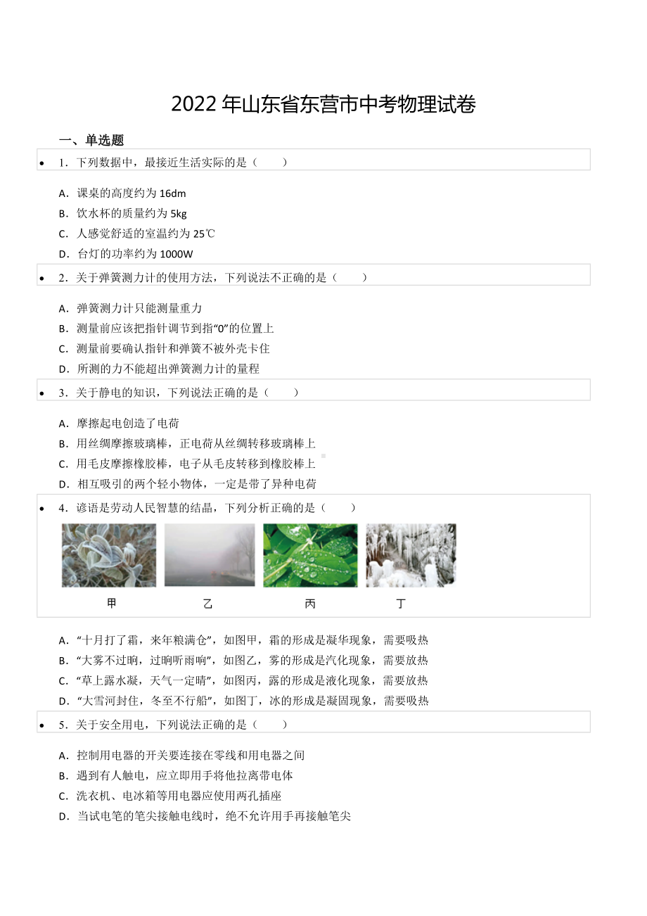 2022年山东省东营市中考物理试卷.docx_第1页