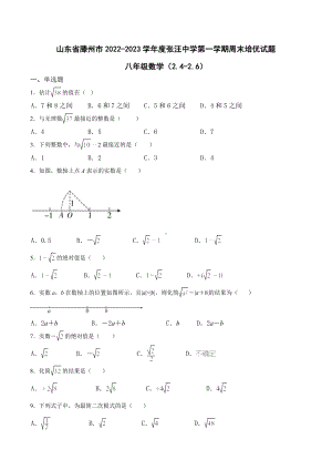 山东省枣庄市滕州市张汪 2022-2023学年八年级上学期周末培优试题 数学（2.4-2.6）.docx