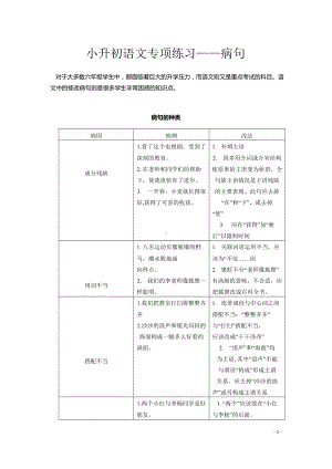 小升初语文修改病句.docx