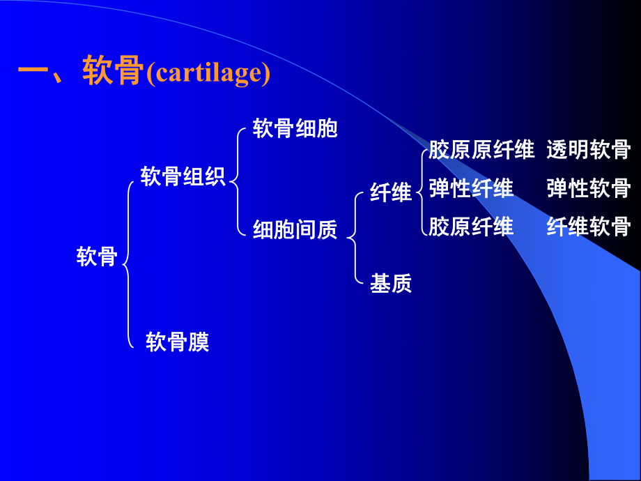 软骨医学教学培训课件PPT.pptx_第2页