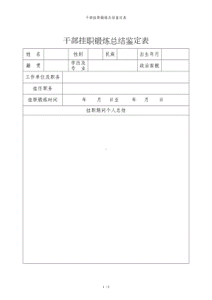 干部挂职锻炼总结鉴定表参考模板范本.doc