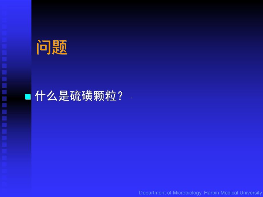 致病性细菌放线菌医学教学课件.pptx_第3页