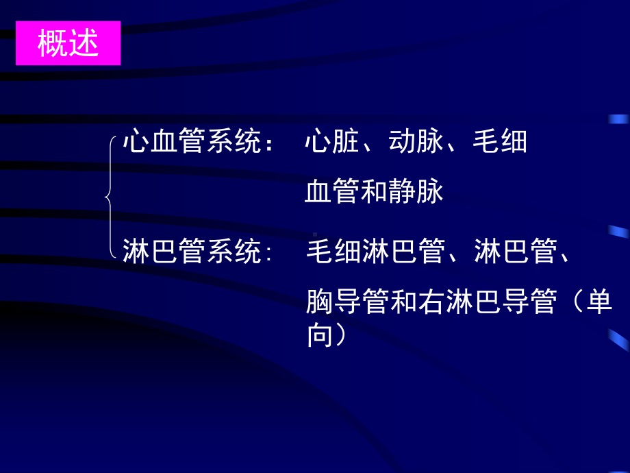 循环系统医学教学课件PPT.pptx_第2页