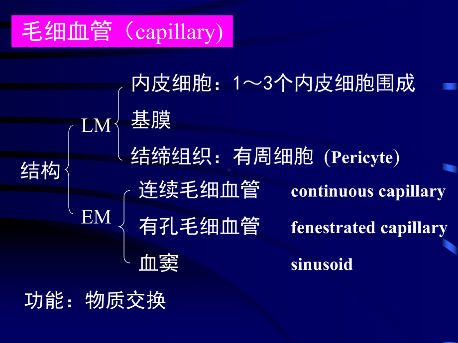 循环系统医学教学课件PPT.pptx_第3页