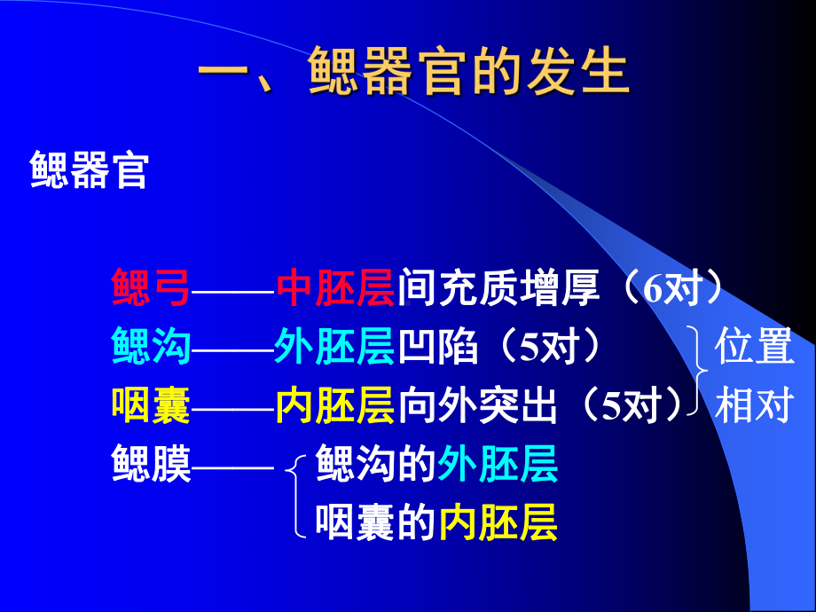 颜面与腭的发生医学教学课件PPT.pptx_第2页