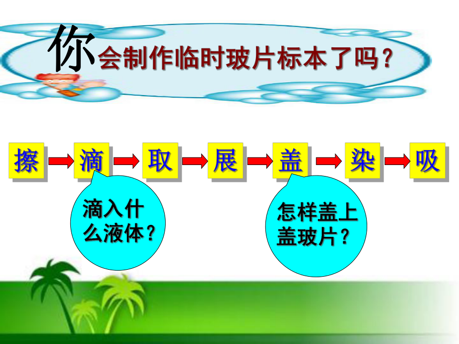 NO6植物细胞的结构与功能(公开课)课件.ppt_第2页