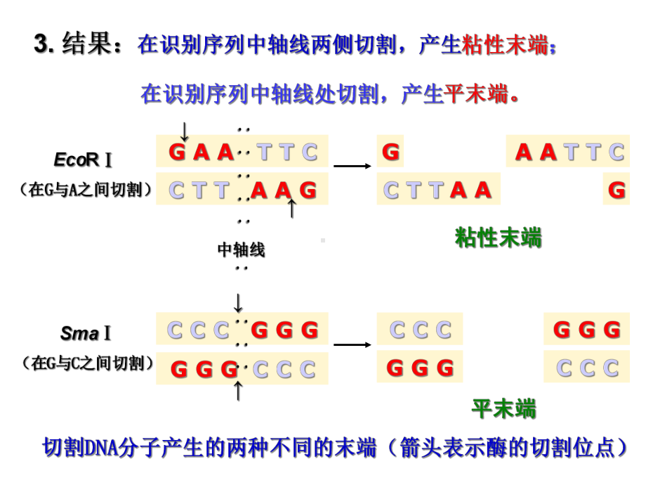 专题一基因工程课件.ppt_第3页