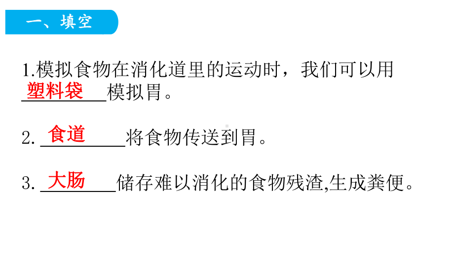 2020新教科版四年级科学上册28食物在身体里的旅行课时练习题(含答案)课件.pptx_第2页