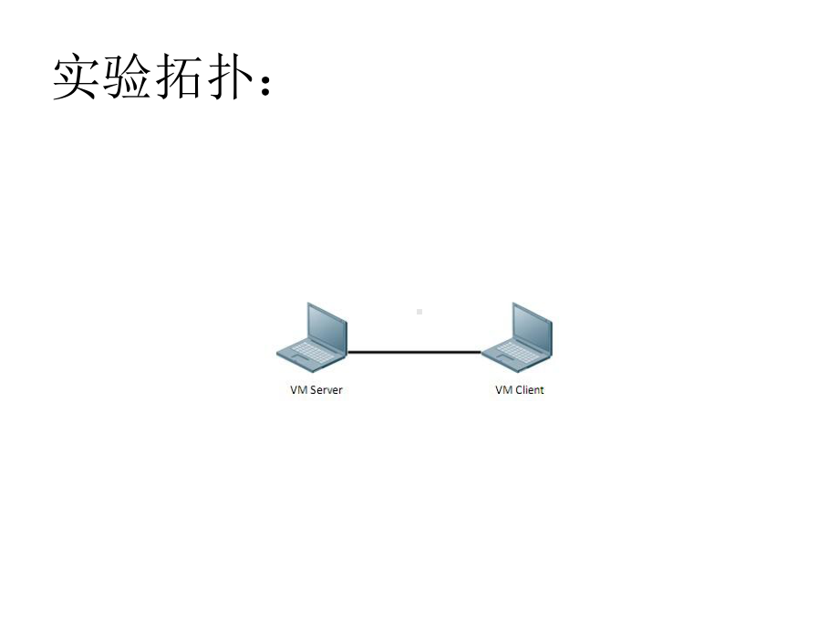 arp病毒检测实验步骤课件.ppt_第2页