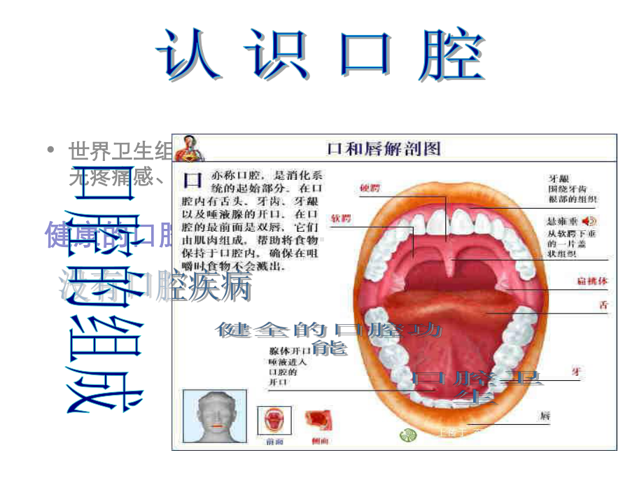 世界卫生组织制定的口腔健康标准是牙齿清洁课件.ppt_第2页