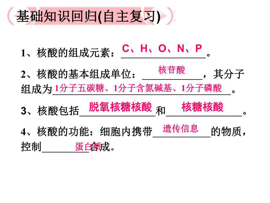 一轮复习遗传信息的携带者-核酸课件.ppt_第3页