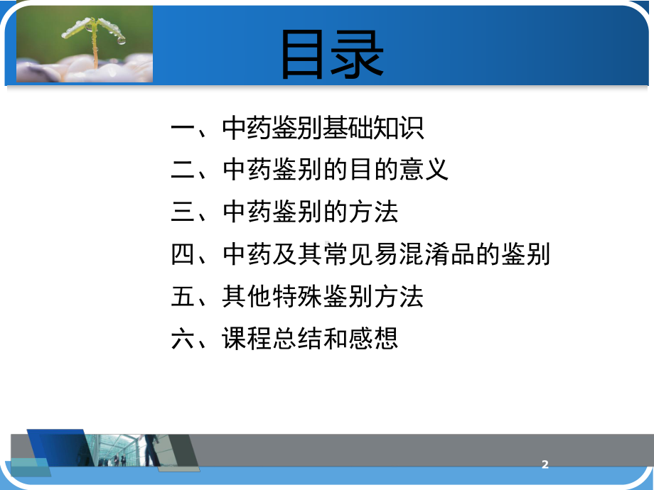 中药传统鉴定课件.ppt_第2页